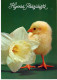 OSTERN HUHN EI Vintage Ansichtskarte Postkarte CPSM #PBP096.DE - Pâques