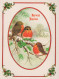 Neujahr Weihnachten VOGEL Vintage Ansichtskarte Postkarte CPSM #PBM587.DE - Nouvel An