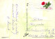 FIORI Vintage Cartolina CPSM #PBZ368.IT - Fleurs