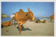 MUCCA Animale Vintage Cartolina CPSM #PBR793.IT - Kühe