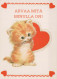 GATTO KITTY Animale Vintage Cartolina CPSM #PBQ824.IT - Katten