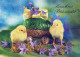 PASQUA POLLO UOVO Vintage Cartolina CPSM #PBO904.IT - Easter