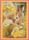 PASQUA CONIGLIO Vintage Cartolina CPSM #PBO464.IT - Easter