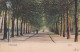 4822439Hilversum, Groest. (poststempel 1903)(rechtsboven Een Heel Klein Vouwtje) - Hilversum