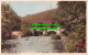 R505706 Dartmoor. Fingle Bridge. 1950 - Monde