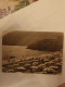 FG VG 1955 Moneglia Riviera Degli Olivi Ombre E Luci Bel Timbro - Genova (Genoa)