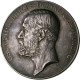 Medaillen Alle Welt: Schweden, Oskar II. 1872-1907: Silbermedaille O.J. Von A. L - Zonder Classificatie