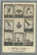 CPA -CIRQUE - ABDUL-HAM - Thème: Acrobatie, Contorsionniste, équilibriste, Gymnastique, Spectacle, Théâtre - 1910 - Circus