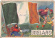 Flags Of The World Chromo -  Ireland - 6.5 X 9.5 Cm - Andere & Zonder Classificatie