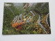 CP CARTE POSTALE ESPAGNE ILES BALEARES MAJORQUE SOLLER ROUTE Du COL VUE AERIENNE - Mallorca