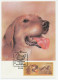 Maximum Card Soviet Union 1988 Dog - Hunting - Altri & Non Classificati