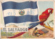 Flags Of The World Chromo - El Salvador - 6.5 X 9.5 Cm - Sonstige & Ohne Zuordnung