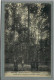 CPA  (72) ECOMMOY - Thème: ARBRE - Le Chêne Boppe Dans Le Forêt De Bercey - 1920 - Ecommoy