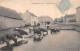 GRESSEY - Place St Pierre - Vaches - 1905 - Other & Unclassified