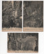 06 - SAINT CÉZAIRE - Grotte DOZOL -  Lot De 10 Cartes Postales En Tbe - Toutes Scannées - (R011) - Other & Unclassified