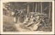 Germany Sachsen Erzgebirge Holzsammlerinnen Old PPC Pre 1940 - Oberholzhau (Erzgeb.)