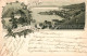 13798408 Clarens  Montreux VD Panorama Genfersee Schloss Litho  - Sonstige & Ohne Zuordnung