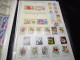 Delcampe - DM941 LOT FEUILLES MONDE TOUS NEUFS MNH A TRIER COTE++ DEPART 10€ - Collections (with Albums)