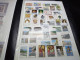 DM942 LOT FEUILLES MONDE TOUS NEUFS MNH A TRIER COTE++ DEPART 10€ - Verzamelingen (in Albums)