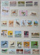 Collection De Timbres Sur Le Thème Des Oiseaux. - Collections (without Album)