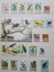 Delcampe - Collection De Timbres Sur Le Thème Des Oiseaux. - Collezioni (senza Album)