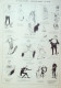La Caricature 1882 N°137 Voyage D'un Reporter Dans L'Amérique Du Sud Clérice Loys Tinant - Magazines - Before 1900