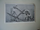 INDIA POSTCARDS  MEN SARCING   TIMBER  FOR MORE PURCHASES 10% DISCOUNT - India