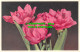 R507054 Tulipa. Stehli. No. 688. Postcard - World