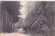 3359/ Route De Consdorf A Echternach, Paard En Wagen, 1908 - Echternach