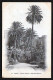 (33A)  Alger- Jardin D'Essais- Ecrite En 1905 - Algerien