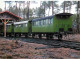 Trains - Parc Naturel Régional Des Landes De Gascogne - Ecomusée De La Grande Lande Marqueze Sabres (Landes) - 40108 Voi - Eisenbahnen