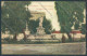 Catania Città Piazza Cavour PIEGHINE Cartolina ZB8840 - Catania