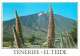 Espagne - Espana - Islas Canarias - Tenerife - Tajinastes En Flor Al Pie Del Teide - Fleurs - CPM - Voir Scans Recto-Ver - Tenerife