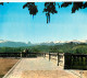 64 - Pau - La Chaîne Des Pyrénées Vue Du Boulevard - Carte Neuve - CPM - Voir Scans Recto-Verso - Pau