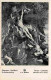 Art - Peinture Religieuse - P P Rubens - L'erection De La Croix - Anvers - Cathédrale - CPM - Voir Scans Recto-Verso - Schilderijen, Gebrandschilderd Glas En Beeldjes