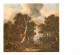 Art - Peinture - Jacob Ruysdael - La Foret - CPM - Voir Scans Recto-Verso - Peintures & Tableaux