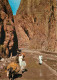 Maroc - Tinghir - Tinerhir - Gorges Du Todra - CPM - Voir Scans Recto-Verso - Autres & Non Classés