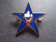 Insigne Section D' Eclaireurs Skieurs Du 43° Régiment D’Infanterie Alpine - SES - Army