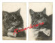 Lot 2 X CPA Carte Fantaisie Fantasie Chat Poes Chat Kitten Katze Gatto PUSSY - 1900-1949