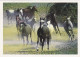 AK 214934 HORSE / PFERD / CHEVAL .. - Paarden