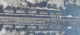 3- Vue De WEPION. Carte Photo Train Vapeur Rochers Neuviau Ligne 154  Prés De Gare De  Dave , Lustin Et Bois De Villers - Sonstige & Ohne Zuordnung