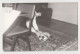 Woman Play With Home Cat, Kitten, Scene, Vintage Orig Photo 14x9cm. (19988) - Personnes Anonymes