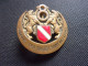 Insigne Ancien 8° Régiment De Spahis Algériens - Oranie - RSA - Cavalerie - Landmacht