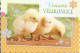 Picture Postcard Czech Republic Beuatiful Easter Used In 2024 Three Chicks - Pascua