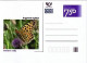 CDV C Czech Republic Butterflies 2006 - Schmetterlinge