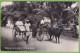 CPA Rickshaw And Bullock Hackery Ceylon Animé Attelage - Sri Lanka (Ceylon)