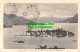 R508656 Isola Bella. Isola Madre E Pallanza. Lago Maggiore. 1913 - Monde