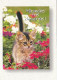 AK 215134 CAT / KATZE ... - Gatos