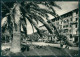 Lucca Viareggio PIEGHINE Foto FG Cartolina KV8024 - Lucca