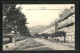 CPA La Bourboule, L'Avenue Des Cascades  - La Bourboule